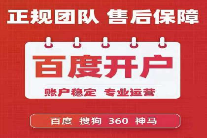 案例分析：托管SEM竞价助力电商旺季促销